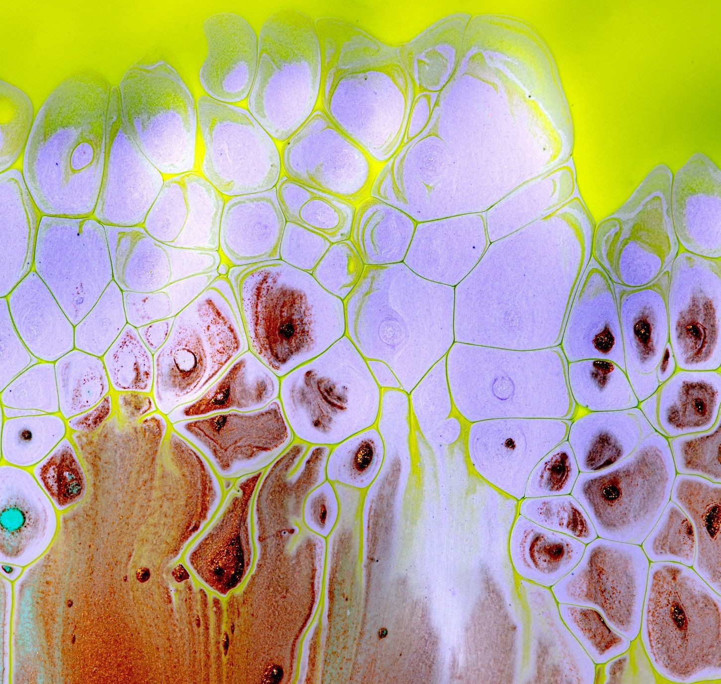 Mācību plānošanas e-vide